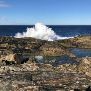 Meet your Posher, Jaya